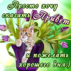 ღ(ړײ)ღРАДУГА ЖИЗНИღ(ړײ)ღ