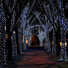 White 100 LEDs Elan Outdoor Garden Solar Powered LED Fairy String Lights