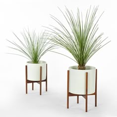 493 Best Goos Images Furniture Indoor House Plants Pot Case Study Planter W Stand White Modern Planters Indoor Pots