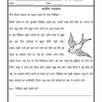 13 unseen ideas hindi worksheets language worksheets comprehension worksheets