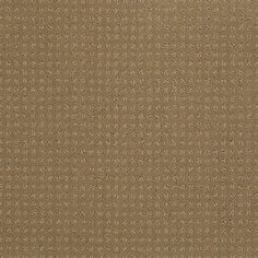87 Best Shaw Anso Nylon Carpet Images On Pinterest Color 00701 Field Stone In Savannah Ea024 Shaw Anso Nylon Carpet Georgia Industries
