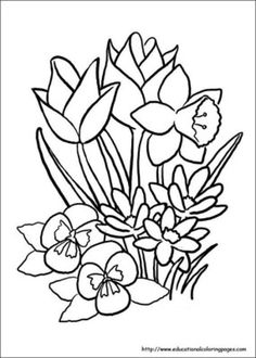 Spring Flower Coloring Pages | Flowers Coloring Sheet | Templates ... Spring Flower Coloring Pages | Flowers Coloring Sheet | Templates ...
