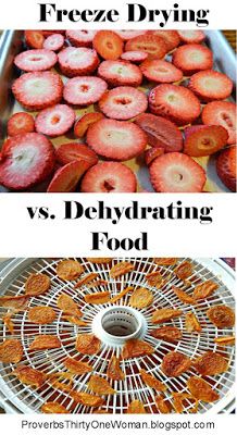 freeze dried vs dehydrated freeze dried vs dehydrated