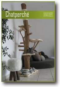19 Idees De Chat Chat Arbre A Chat Chat Arbre A Chat Diy 19 Idees De Chat Chat Arbre A Chat Chat Arbre A Chat Diy