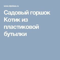 Садовый горшок Котик из пластиковой бутылки