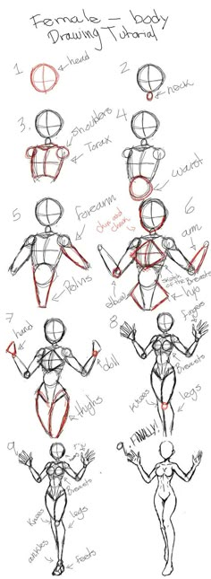 Pose Reference, Body Sketches, Female Drawing Base, Anime Drawing Reference Hair, Drawing Proportions, Reference