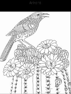 State Emblems Coloring Pages