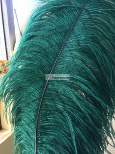 GA, USA Mint Green Ostrich Feathers 12-14 inch 100 Pieces