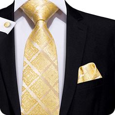 Hi-Tie Paisley Tie Set in Gift Box Classic Woven Silk Mens Necktie