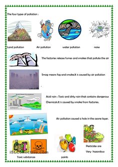 Causes of environmental problems essay
