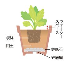 恋愛のおまじない 強力な恋の魔術 のアイデア 96 件 おまじない 強力 おまじない 復縁 恋愛のおまじない 強力な恋の魔術 のアイデア 96 件 おまじない 強力 おまじない 復縁