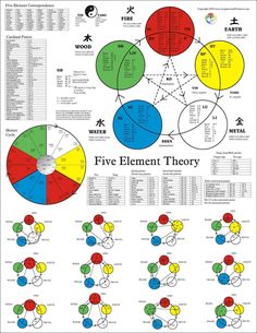 applied kinesiology chart you can see how each muscle test kinesiology charts in colour for free