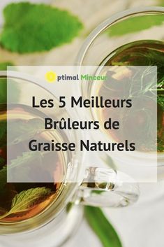 liste gratuite des aliments qui brûlent les graisses liste gratuite des aliments qui brûlent les graisses