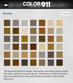365 Best Paint Colors Images In 2019 Gray Decor Gray And Tan Paint Colors That Go Together Houzz Colours