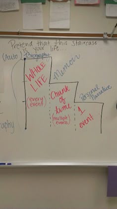 Diversity essay college