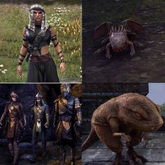 eso crown store 2 4 0 data mining crown store pinterest