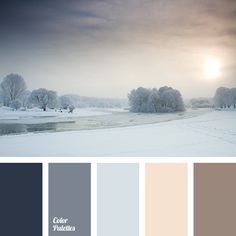 Color Palette 2144 All Pinterest Schemes Blue Gray Brown Color Chocolate Dark