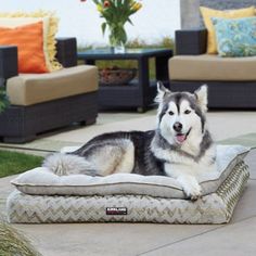 your pet will sleep soundly in this kirkland signature luxury pet your pet will sleep soundly in this kirkland signature luxury pet