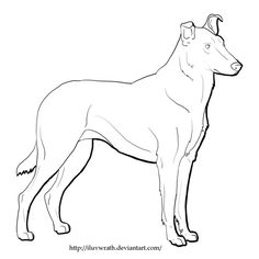 250 Best Dog Coloring Pages images | Dog coloring page, Coloring pages
