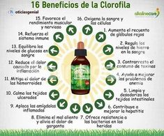 Como se prepara la clorofila para adelgazar