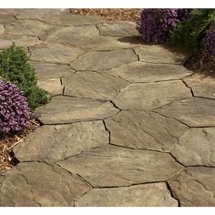 Uploaded Photo Backyard Pinterest Pergola Ideas Prism Tan Sand Interlocking Sections Patio Stone Common X Actual At Lowe S With Its Unique Shape Is A Must Have For Any Outdoor