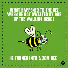 This One About The Walking Dead This One About The Walking Dead
