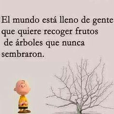 Happy Words Word Of Advice More Than Words Spanish Quotes Poems Happy Words Word Of Advice More Than Words Spanish Quotes Poems