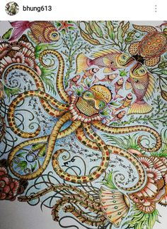 Adult Coloring Books Secret Gardens Colored Pencils Prismacolor Johanna Basford Book Garden Amazing Artwork