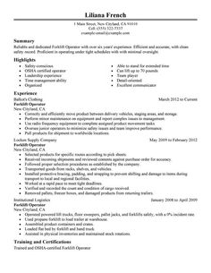 Qualifications Summary Resume Example Interesting Example Summary Resumes Template Resume Sample Qualifications . Qualifications Summary Resume Example Cool Example Summary Resumes Template Resume Sample Qualifications .