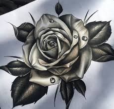 resultado de imagem para desenhos de rosas sombreadas resultado de imagem para desenhos de rosas sombreadas
