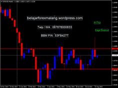 Belajar forex dari nol