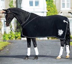 59 Best Horse Rugs Images Horses Blankets 59 Best Horse Rugs Images