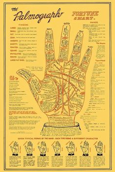 a palm reading chart youll want to refer to over and over again palm reading chart