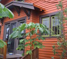 Orange Exterior House Paint Color Combinations Decorating Outside Exterior Paint Colors House For Home