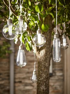 1032 Best Lighting Images In 2019 Living Room Pendant 1032 Best Lighting Images In 2019 Living Room Pendant