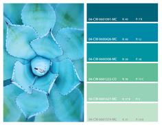 103 Best Turquoise Color Palettes Images Combination Colors R Teal And Turquoise Color Palette This Combines The Sea Foam Green That Already Exists In Logo Brighter Pops Of