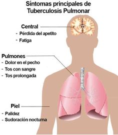 principales+enfermedades+relacionadas+con+la+nutricion