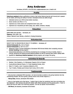 simple resume format in doc with simple resume format free download