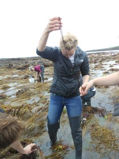 environmental science and protection technicians