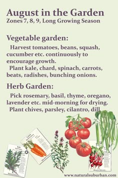 Tips For Growing Garlic In Warm Climates Garden to do list for zones 7 8 and 9