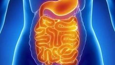 calcoli nella prostata e nella vescica nha