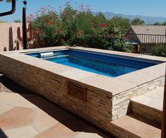 9 Garden Swimming Pools Ideas Swim Spa Swimming Pools Endless Pool