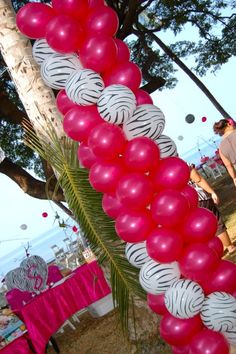 dsc 1256 zebra print magenta balloons decoration columns beach