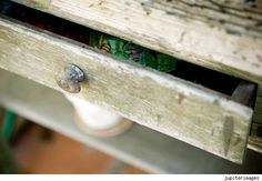Murphys Oil Soap Uses >> 133 Best DIY: Cleaning images | Cleaning Hacks, Cleaning ... Murphys Oil Soap Uses >> 133 Best DIY: Cleaning images | Cleaning Hacks, Cleaning ...