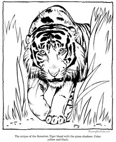 coloring page lion week 3 upside down lots of animal coloring pages lion coloring coloring page lion week 3 upside down lots of animal coloring pages lion coloring