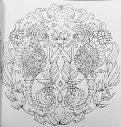 Lost Ocean An Inky Adventure And Coloring Book For Adults Johanna Basford 9780143108993