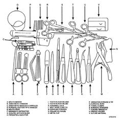updated dental tooth numbering chart with multiple systems orthodontic tooth numbering chart