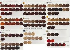 majirel color chart pdf chart paketsusudomba co majirel color chart
