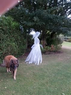 yard decoration idea halloween chicken wire ghost dressed in cheesecloth - Halloween Ghost Decorations Outside yard decoration idea halloween chicken wire ghost dressed in cheesecloth - Halloween Ghost Decorations Outside