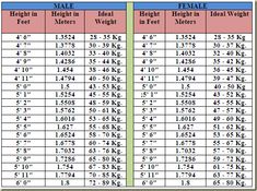 height weight scale